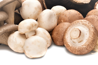 Ciuperci otrăvitoare - Wikipedia